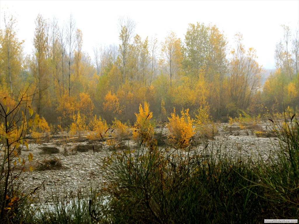 P1020121