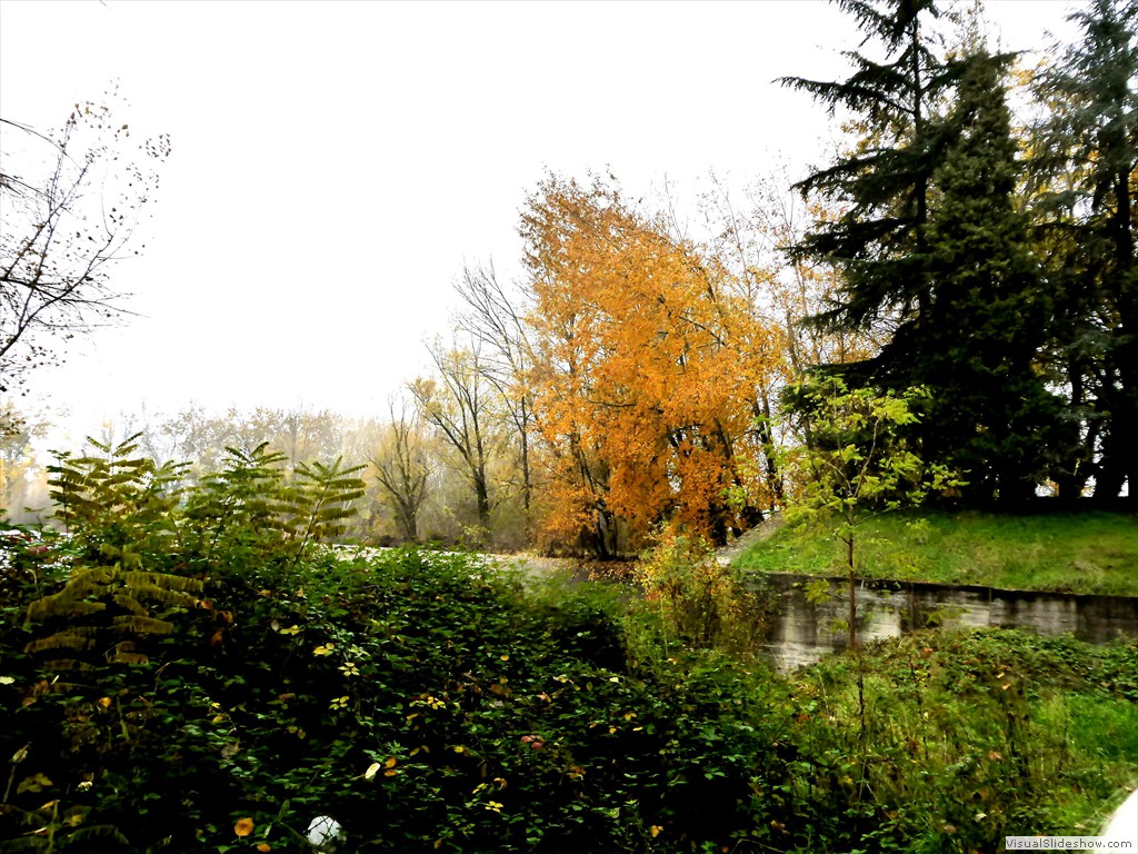 P1020123