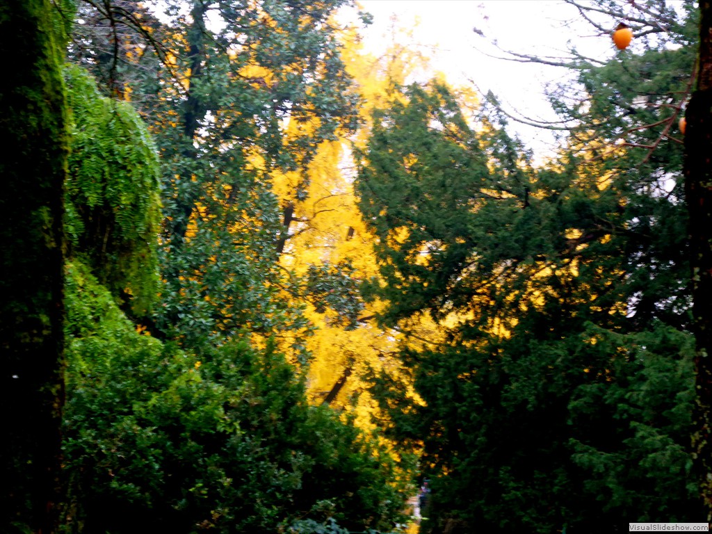 P1020126