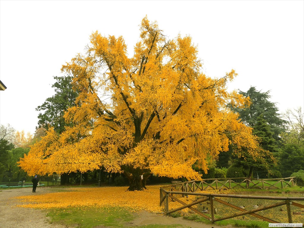 P1020195