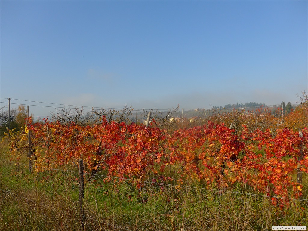 P1090627