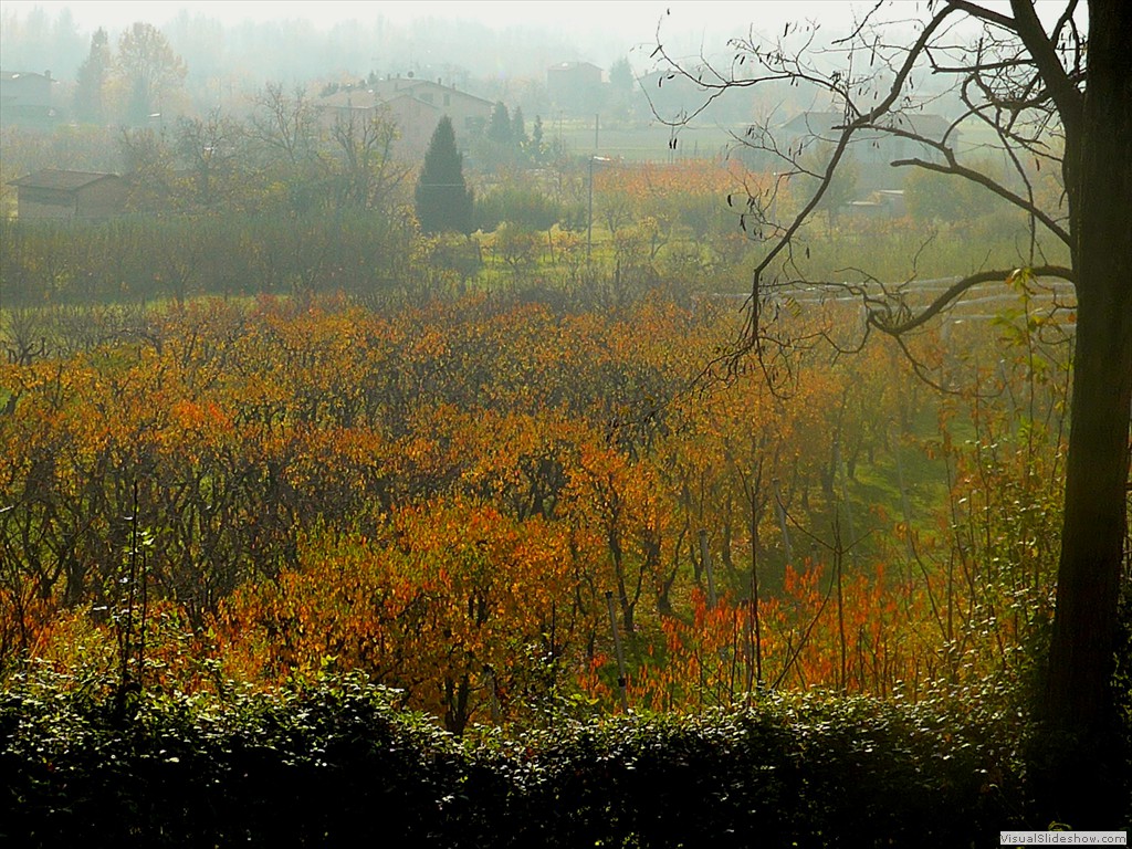 P1090630