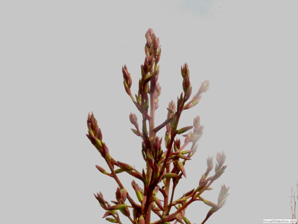 P1090644