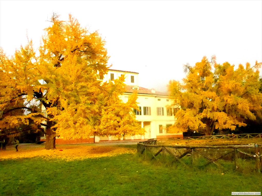 P1090678