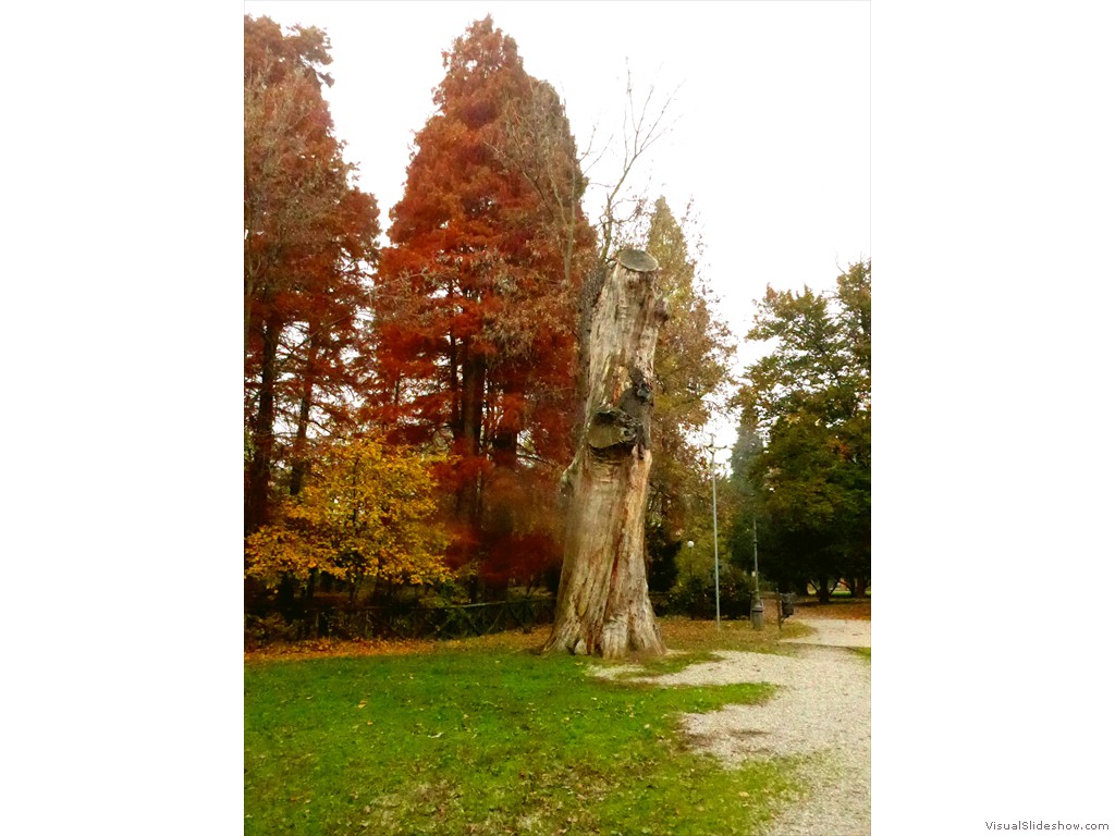 P1090701