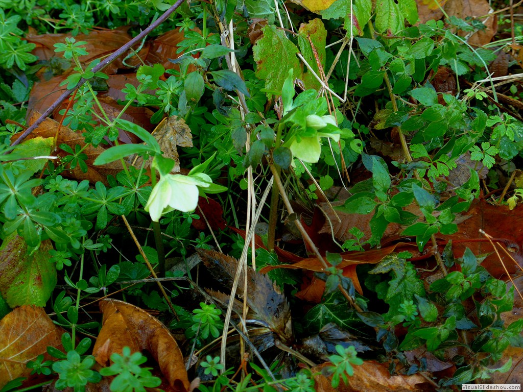 P1090741