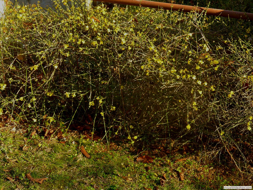 P1090809