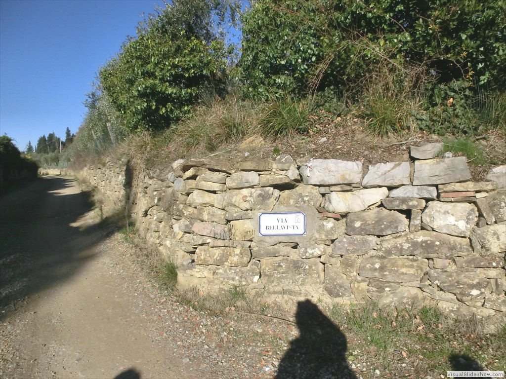 gal11022