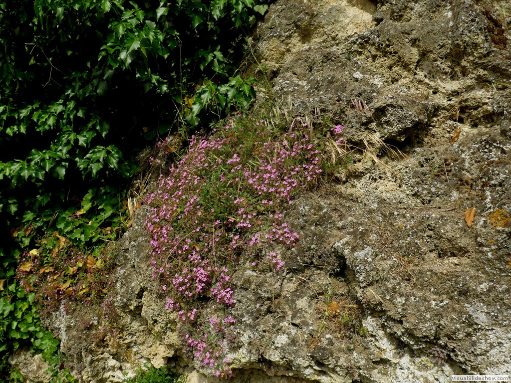 P1040817