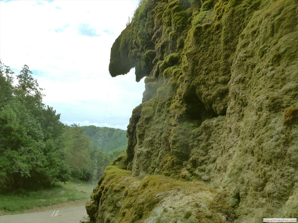 P1040831