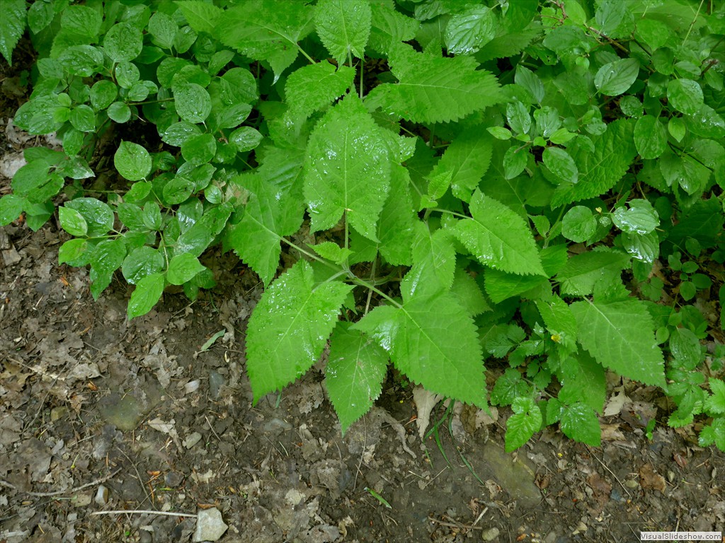 P1040846
