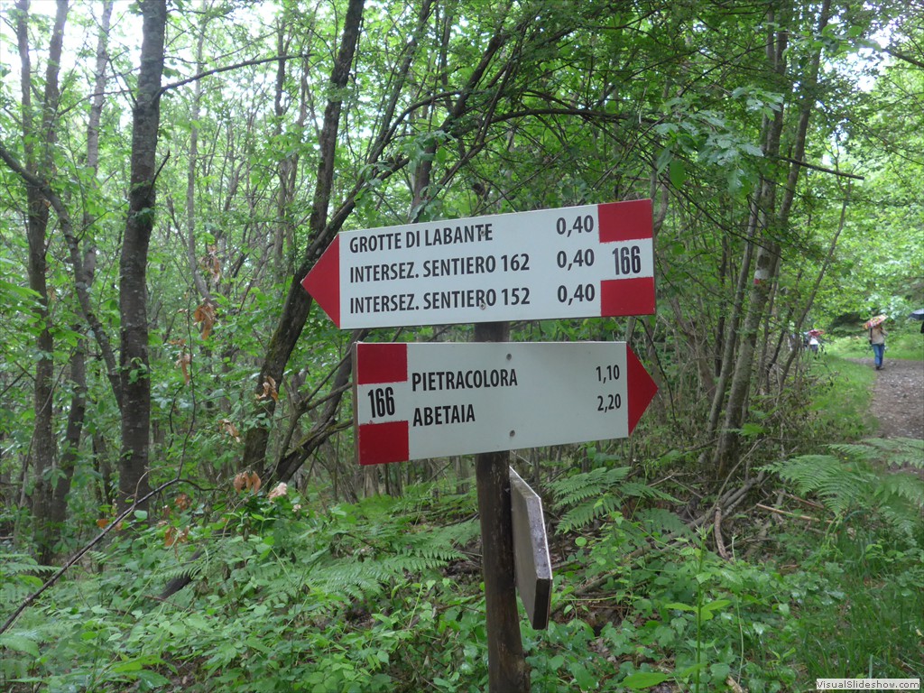 P1040852