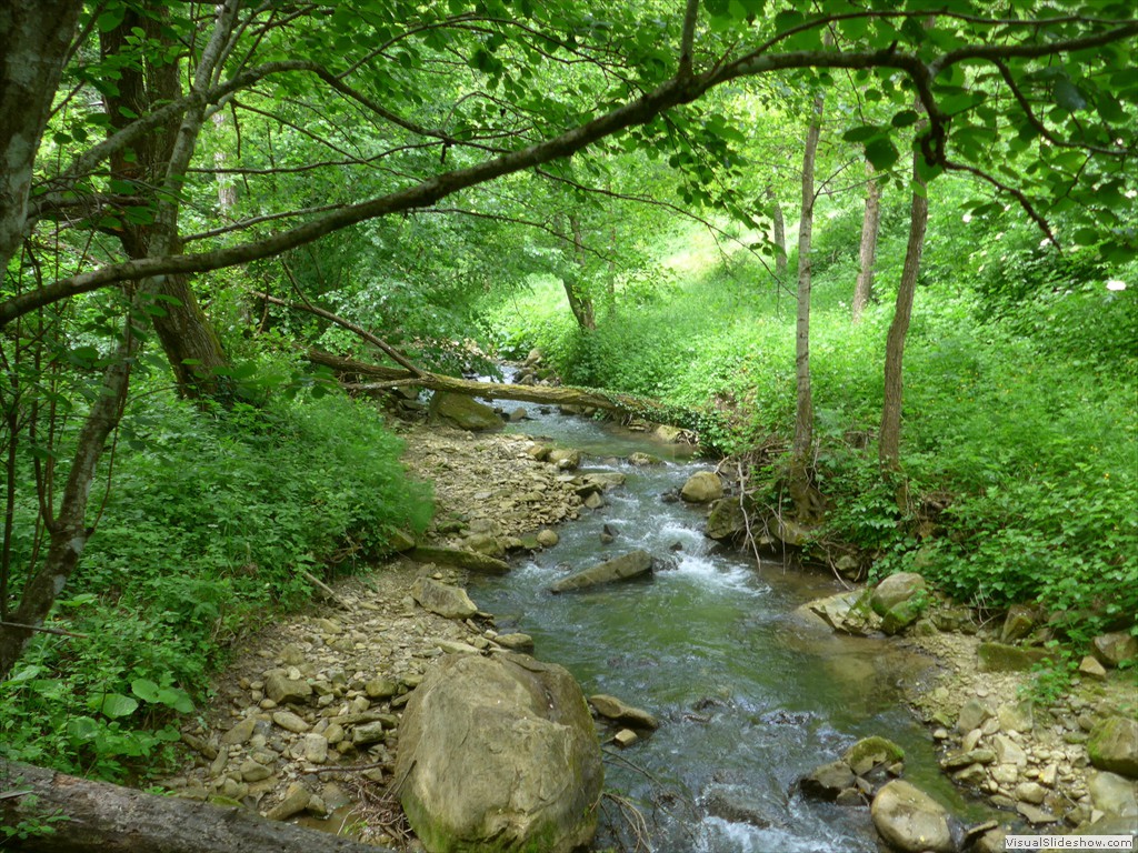 P1040855