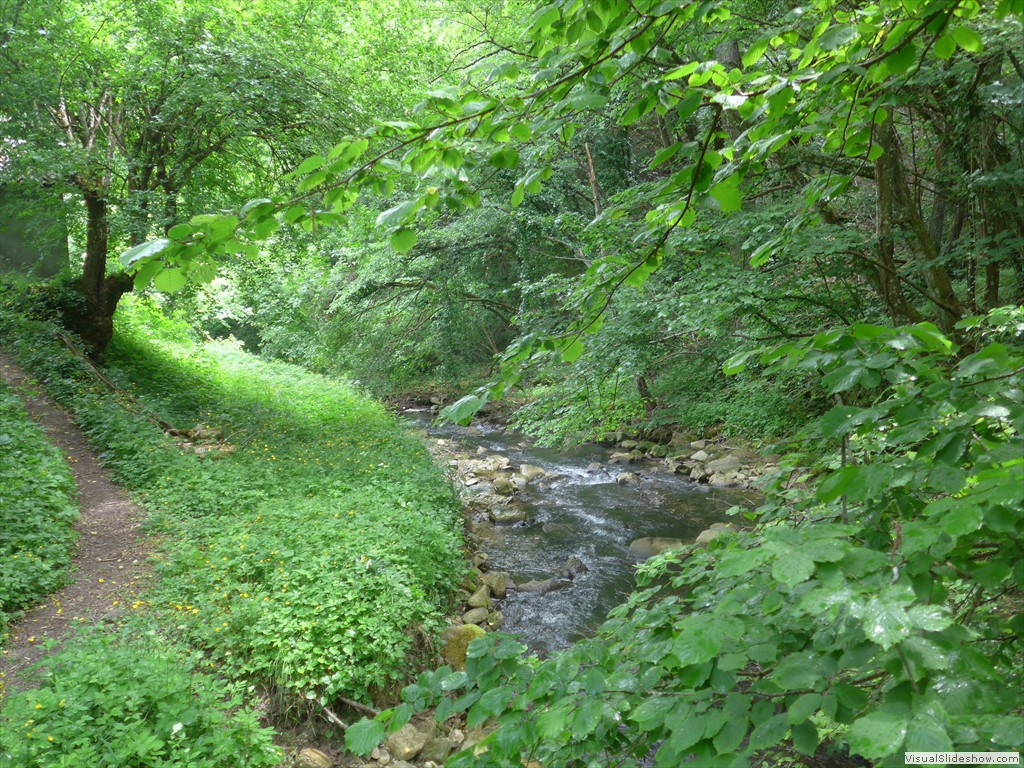 P1040856