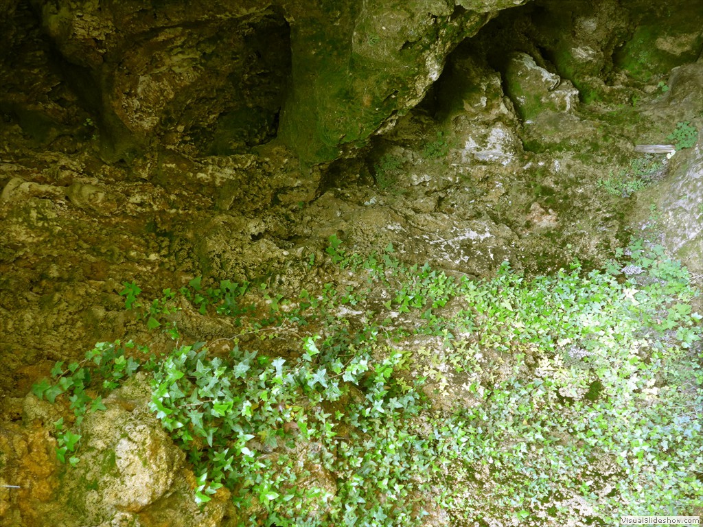 P1040868