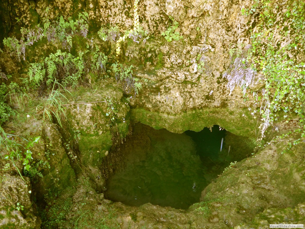P1040869