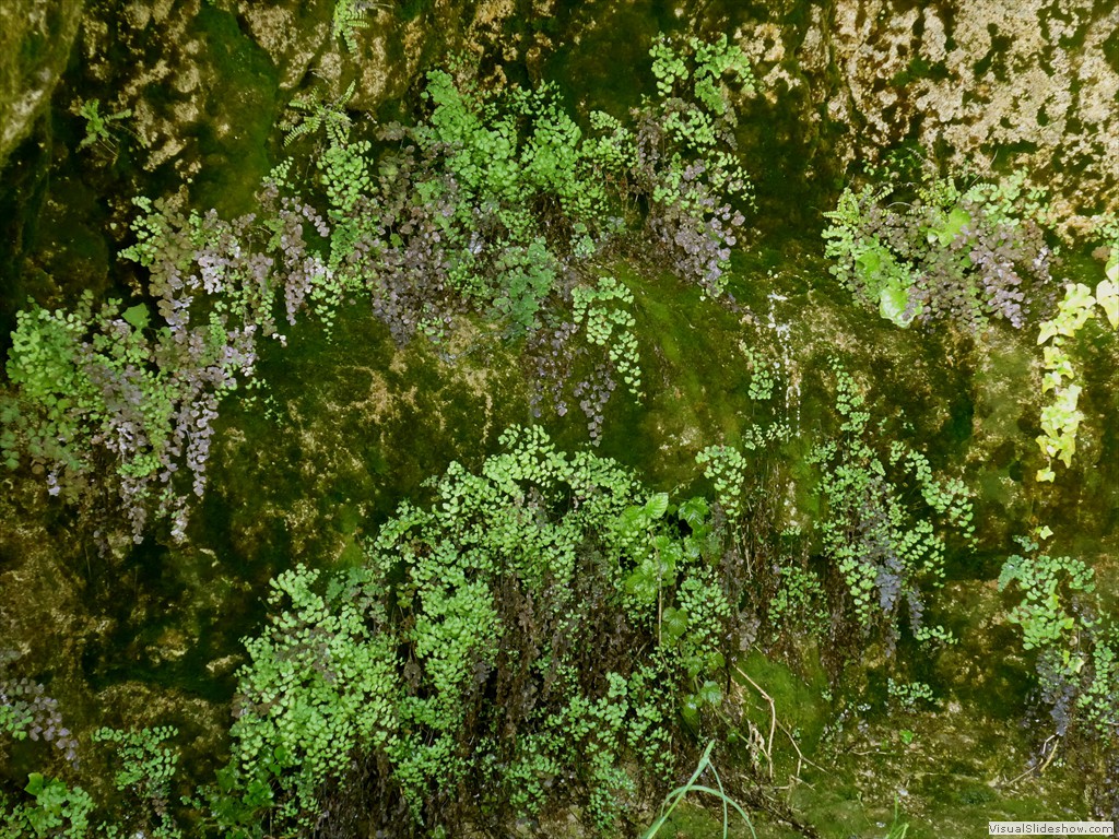 P1040873