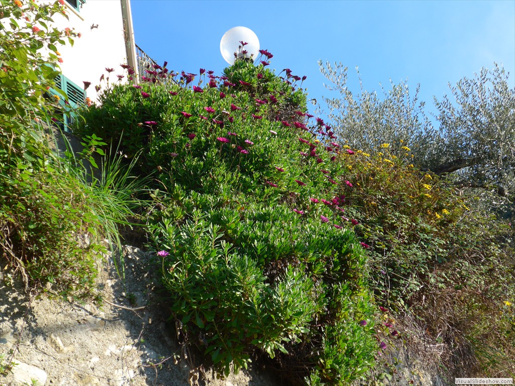 P1100320