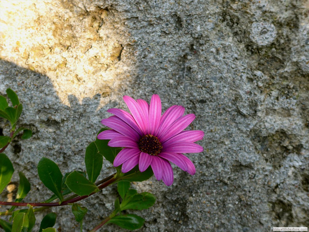 P1100322
