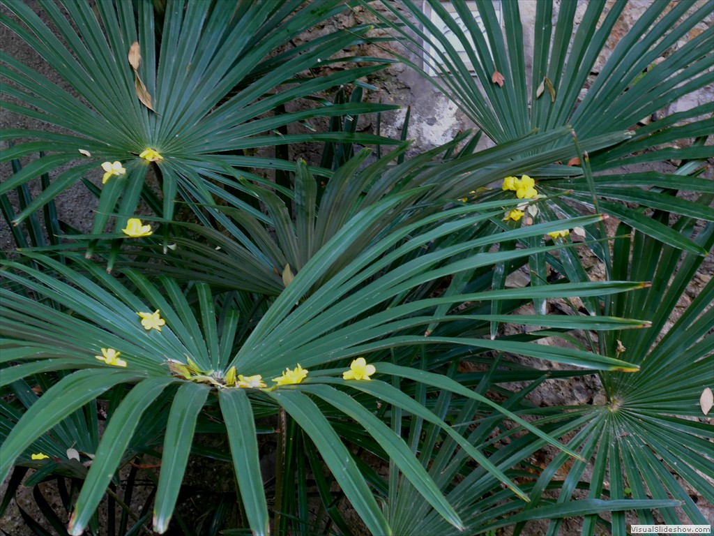 P1100323
