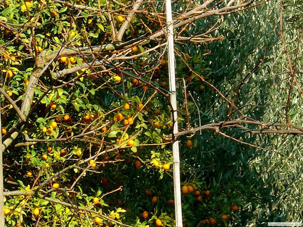 P1100329