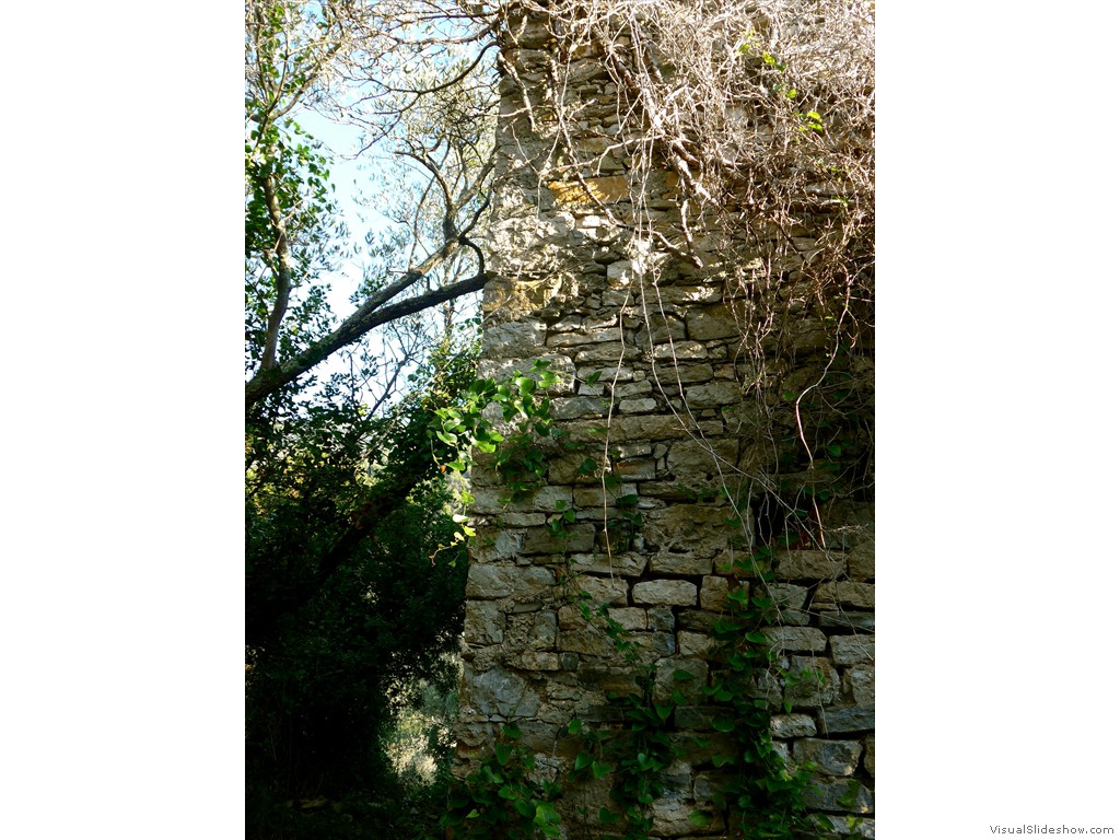 P1100335