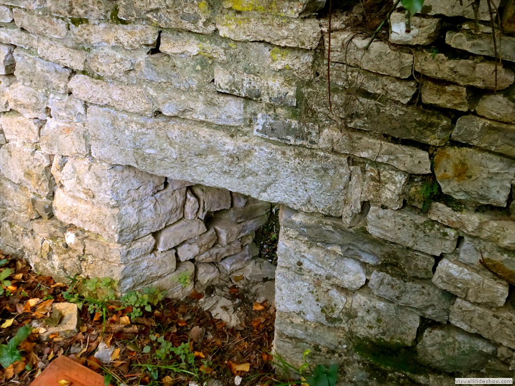 P1100337