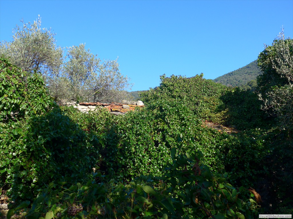 P1100338