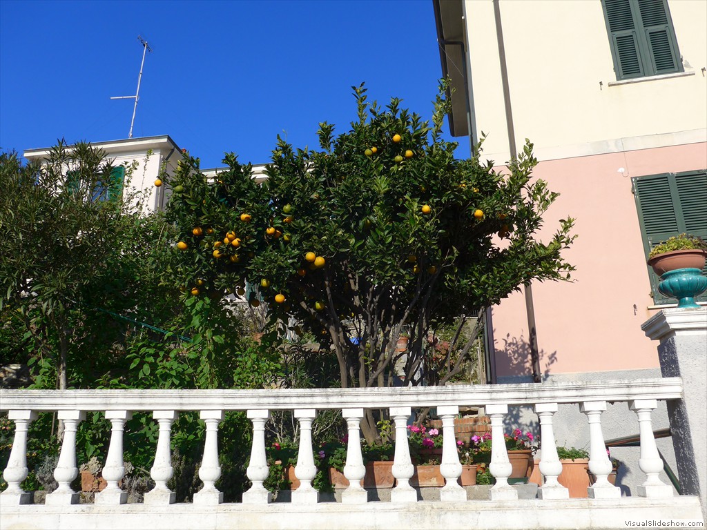 P1100349