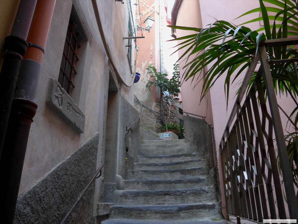 P1030312