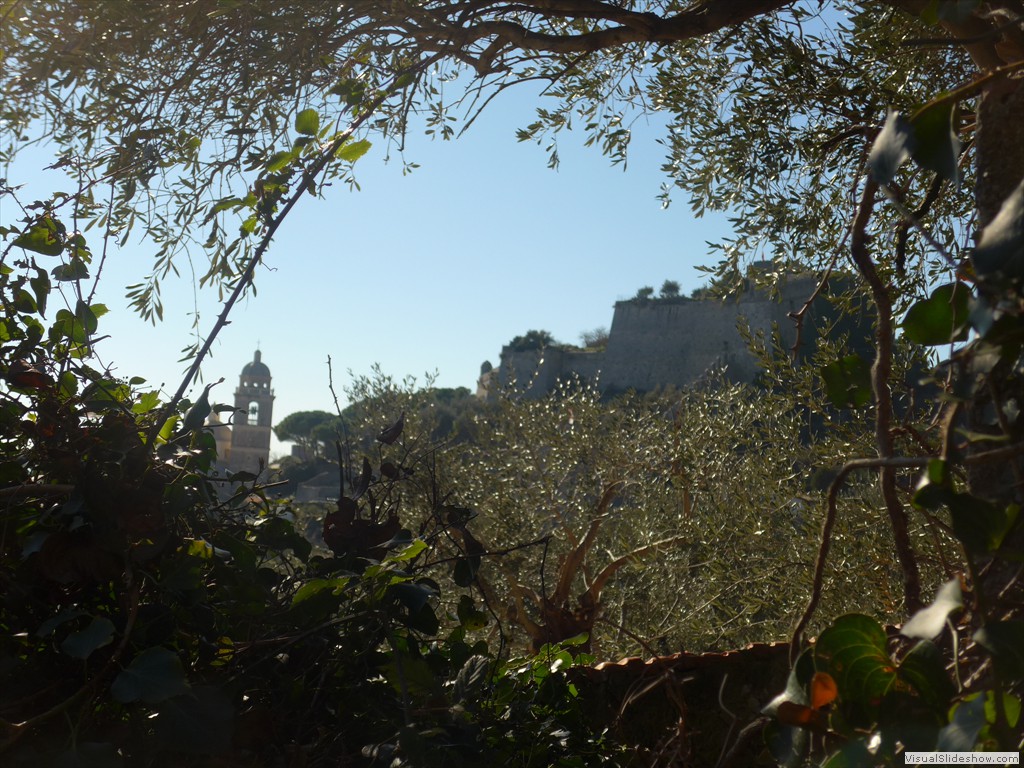 P1030546