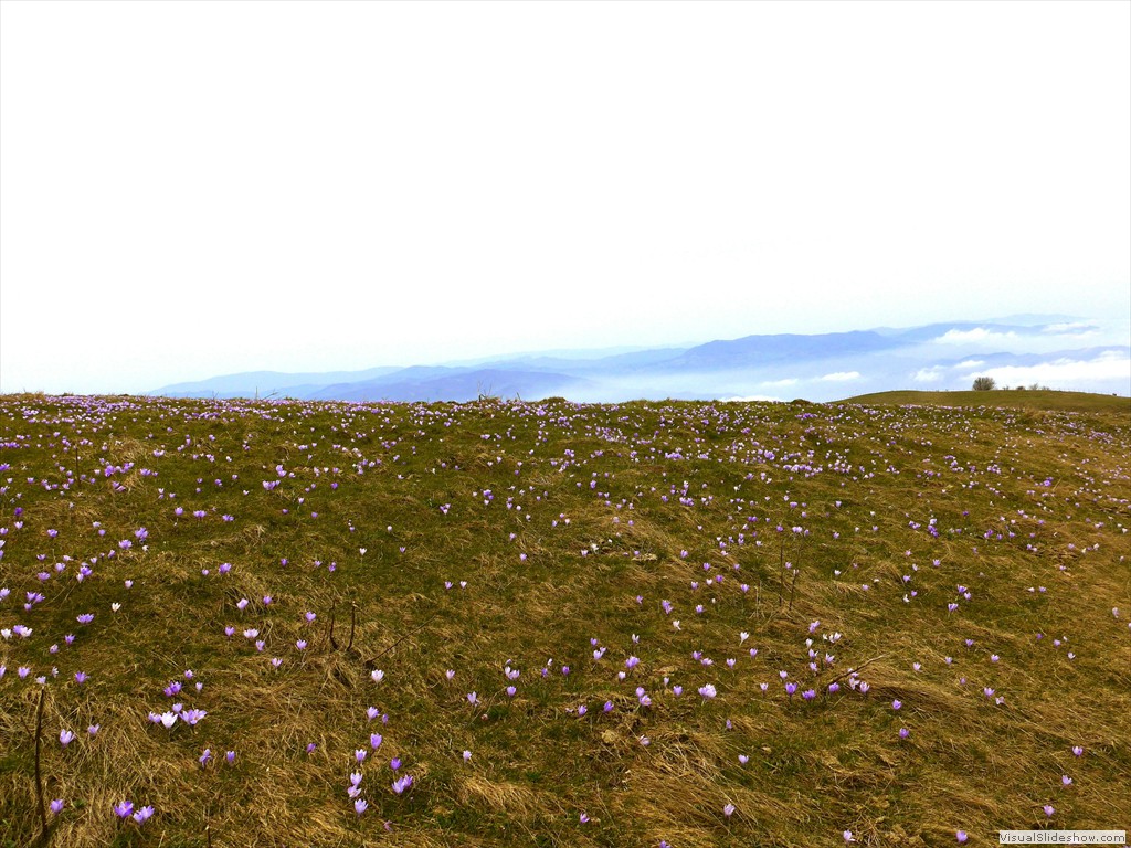 P1110738