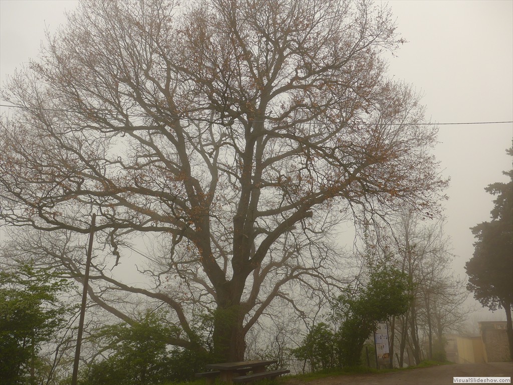 P1110791