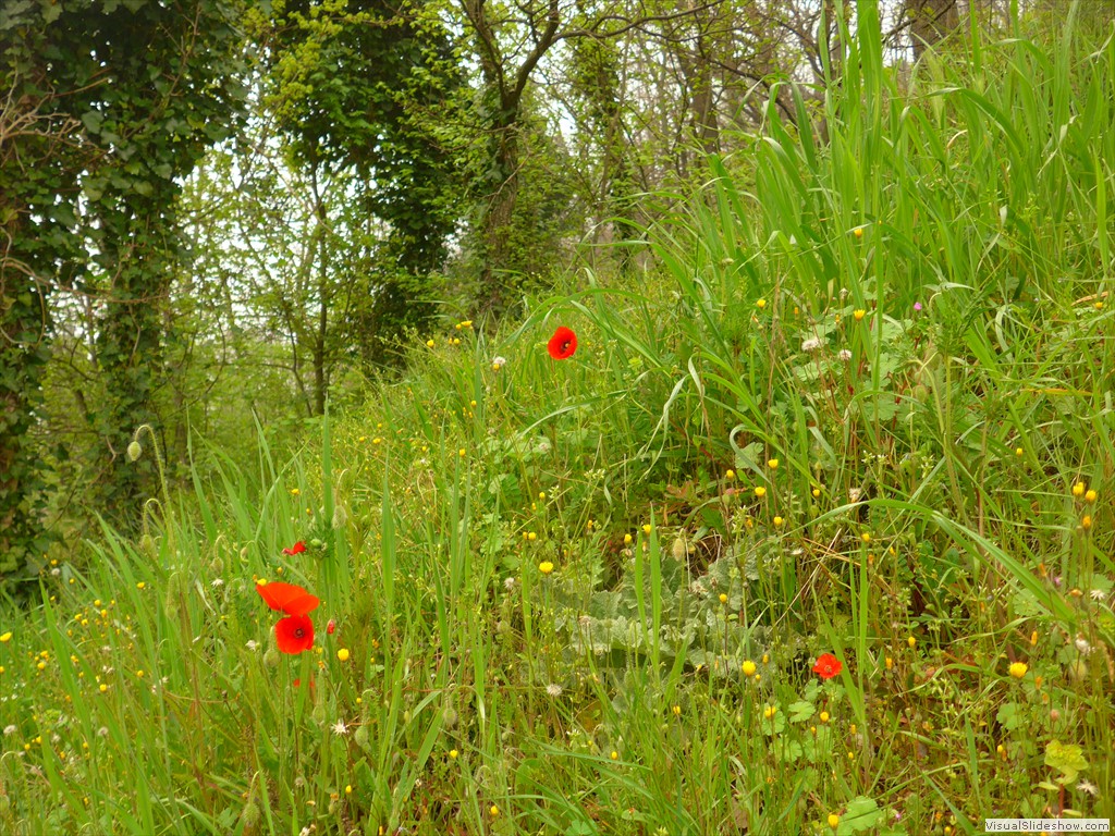 P1110799