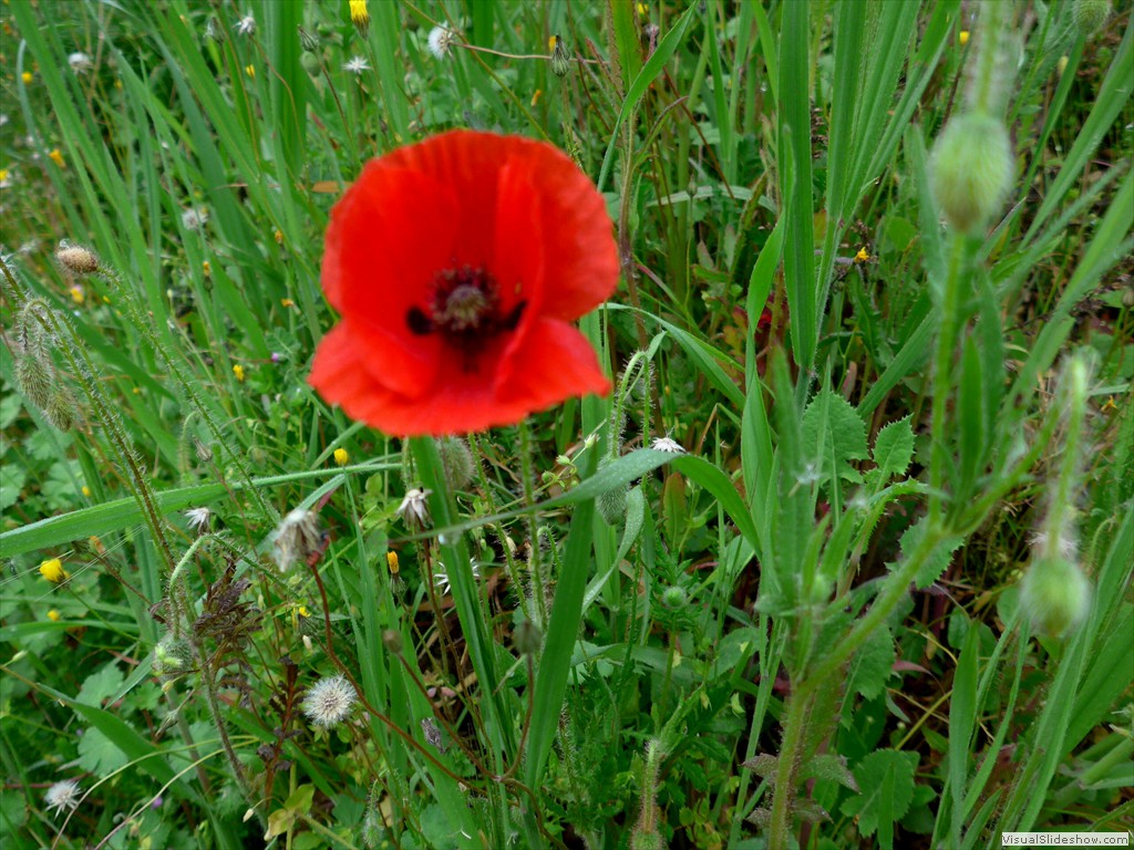 P1110801