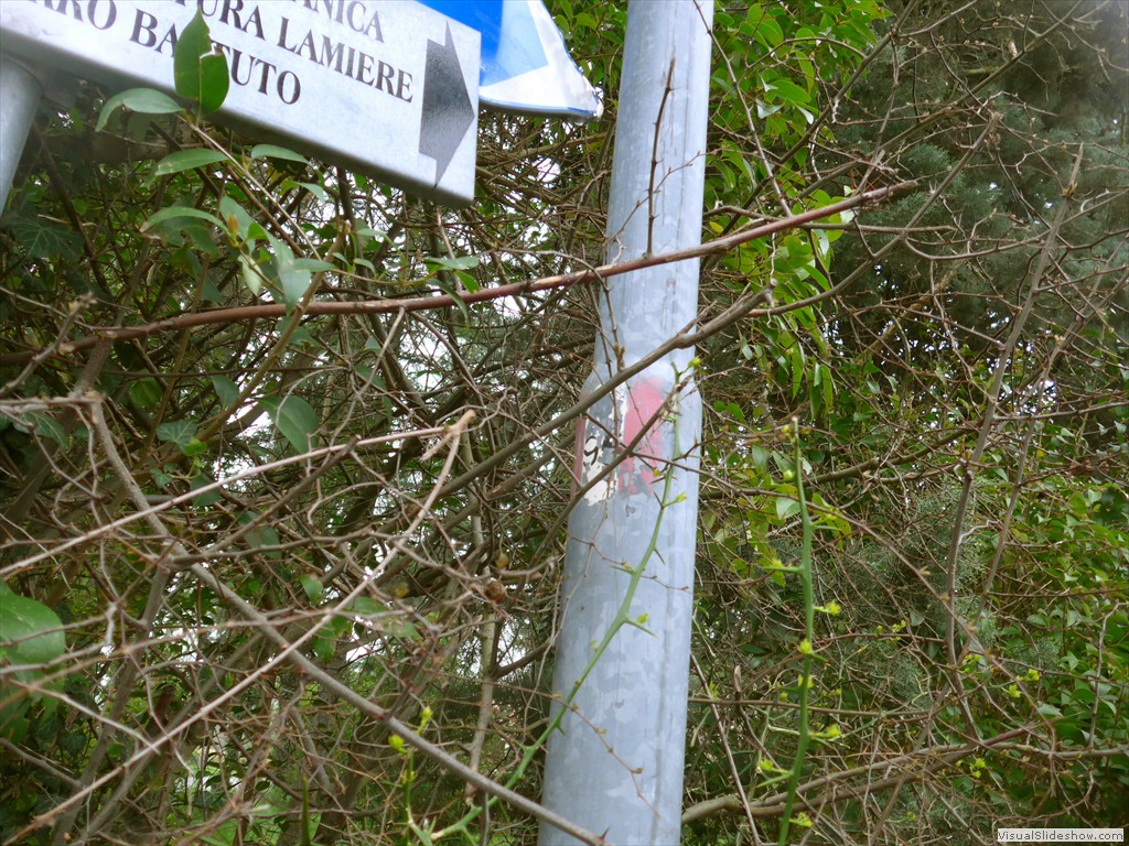 P1110809