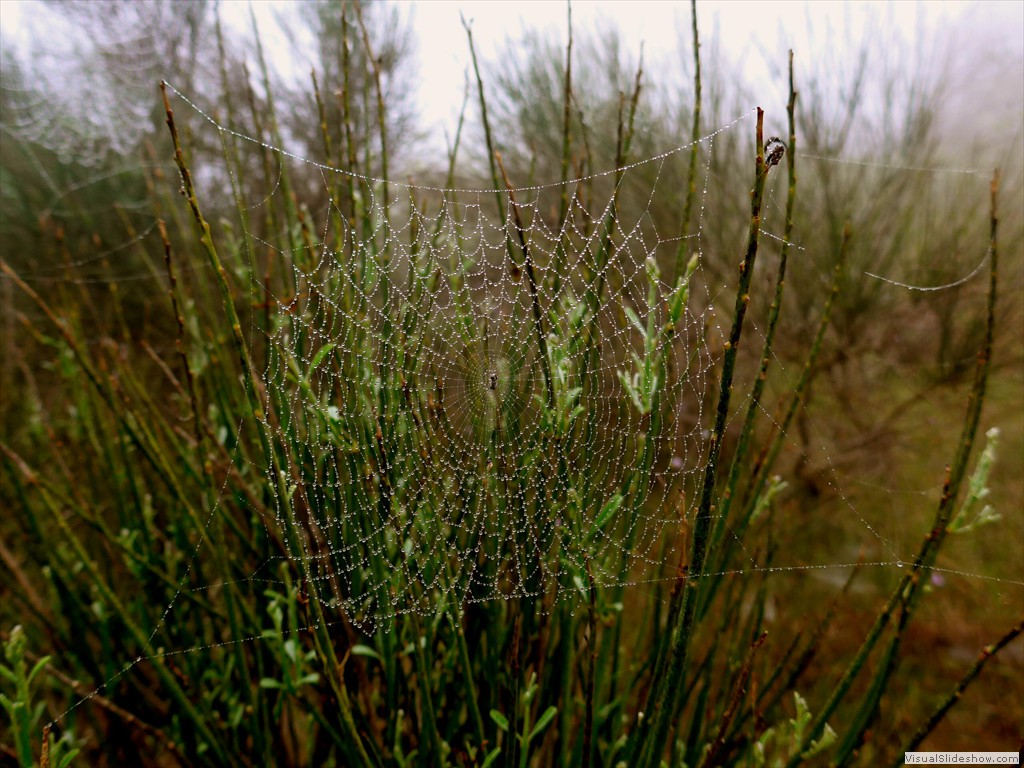 P1110819