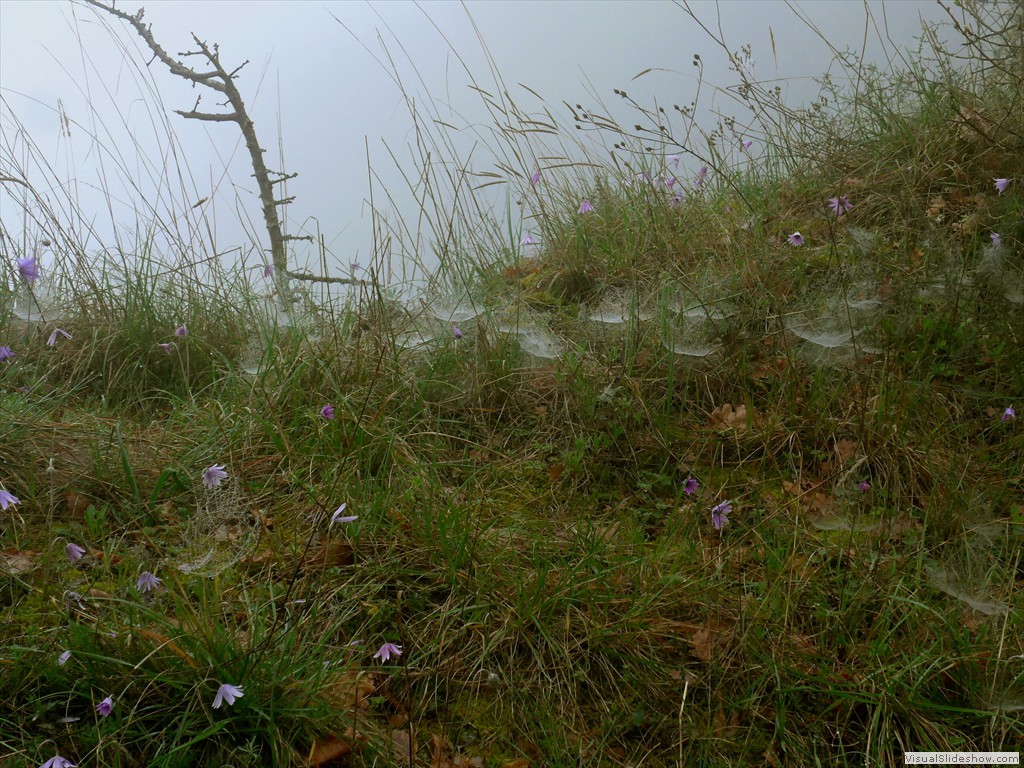 P1110824