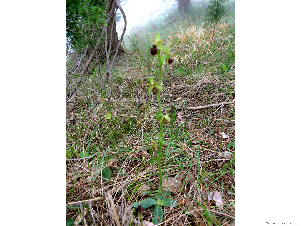 P1110842