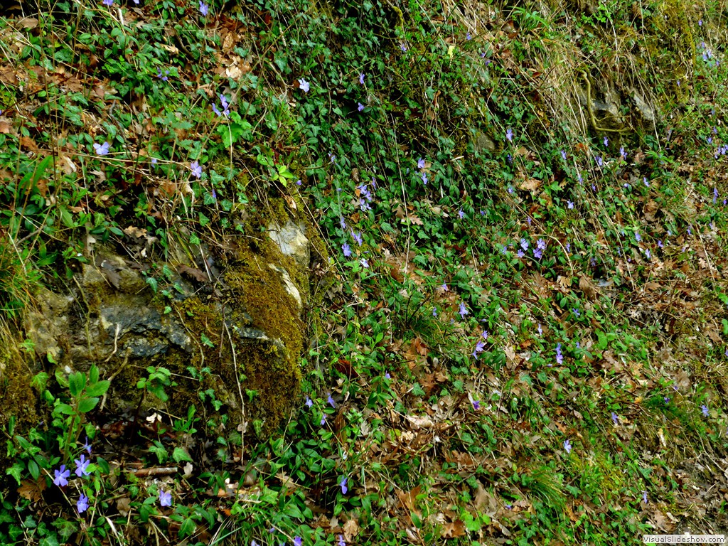 P1110861