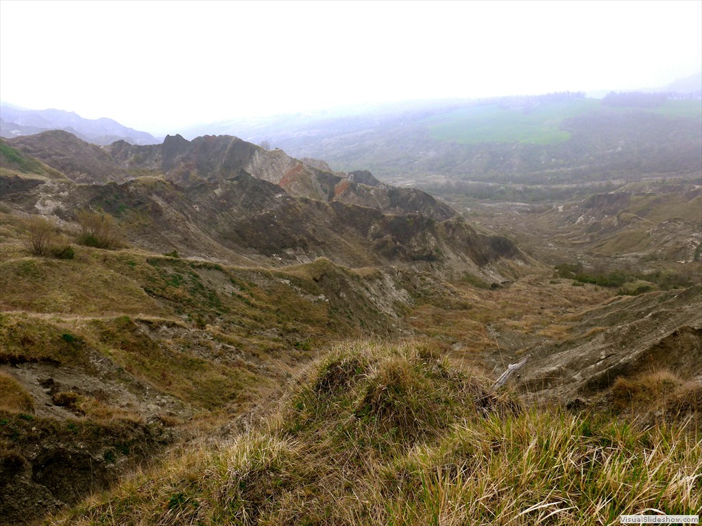 P1110957