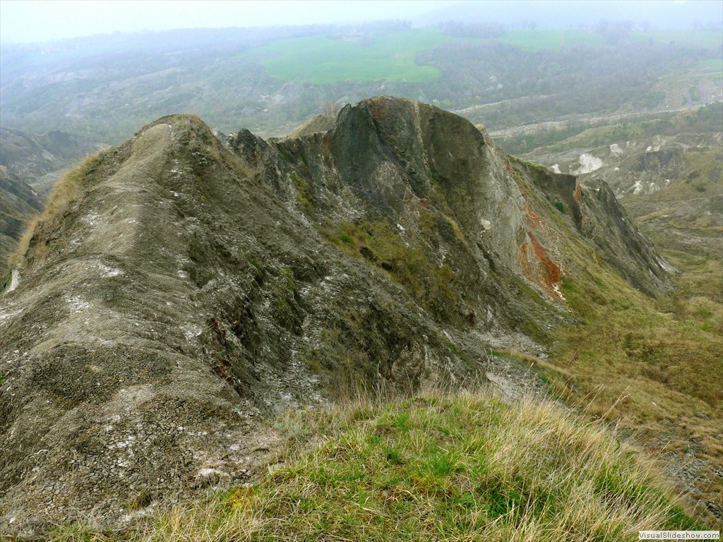 P1110964
