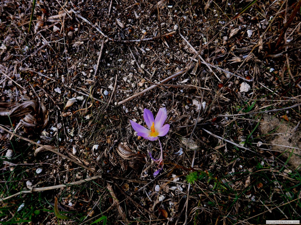 P1090179