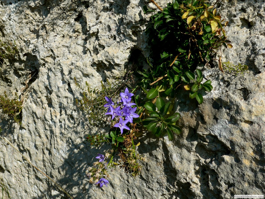 P1090198