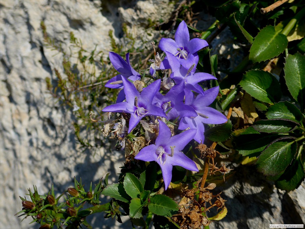 P1090199