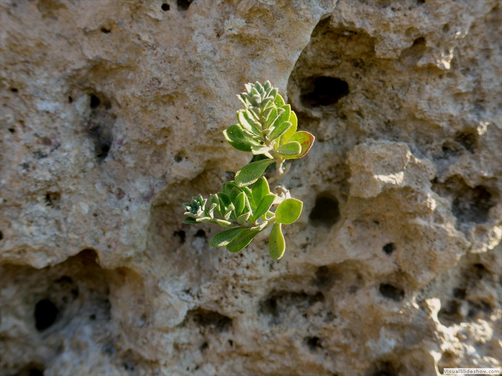 P1090200