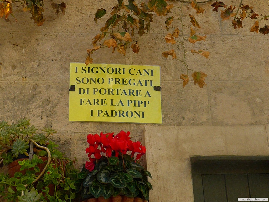 P1090510