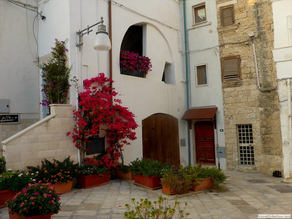 P1090593