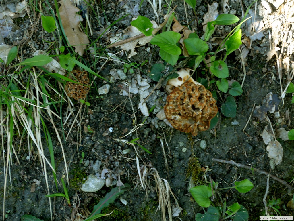 P1040241