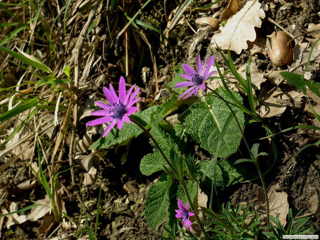 P1040243